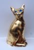My siam cat Koducheva in gold