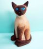 My siam cat Koducheva